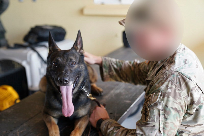 7th Special Forces Group conducts Multipurpose Canine training with Honduran military