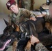 7th Special Forces Group conducts Multipurpose Canine training with Honduran military