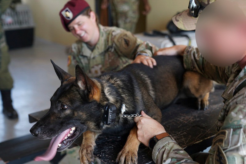 7th Special Forces Group conducts Multipurpose Canine training with Honduran military