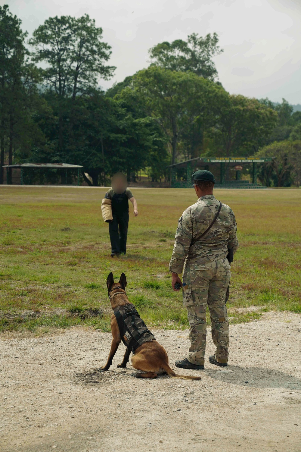 7th Special Forces Group conducts Multipurpose Canine training with Honduran military