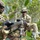 188th Infantry Brigade supports Marne Focus