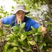Restoring Balance: Weed Warriors Clear Invasive Species Throughout MCBH