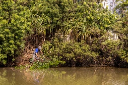 Restoring Balance: Weed Warriors Clear Invasive Species Throughout MCBH