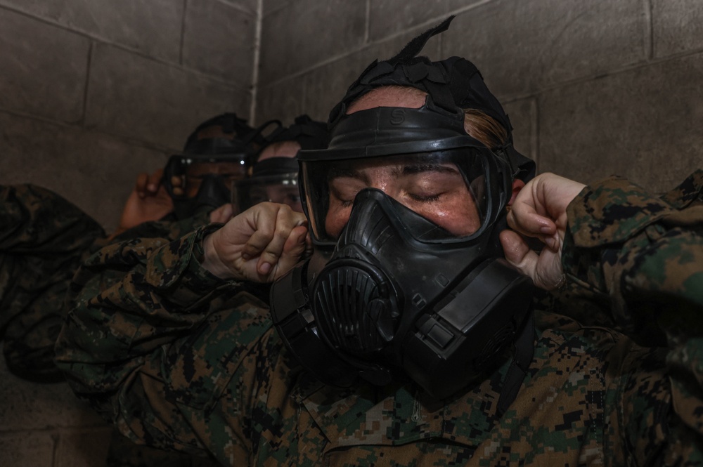 November Company Gas Chamber