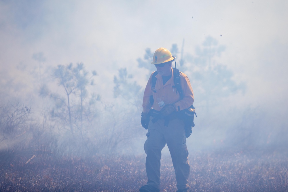 Mass Guard Conducts Prescribed Burn on Camp Edwards