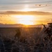 Special Tactics Airmen conduct a direct-action training mission during Emerald Warrior 24 (EW24)