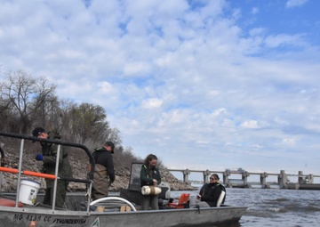 Monitoring lake sturgeon at Melvin Price Locks and Dam in West Alton, Missouri.