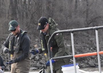 Baiting trot lines on the Mississippi River
