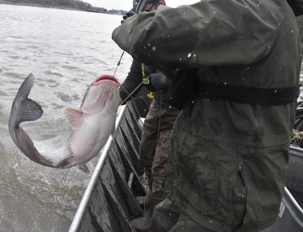 Fish Sampling on the Mississippi River