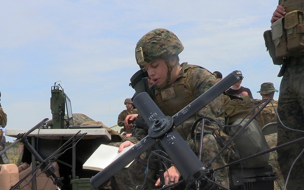 WSP ARG-24th MEU NEO Exercise during COMPTUEX