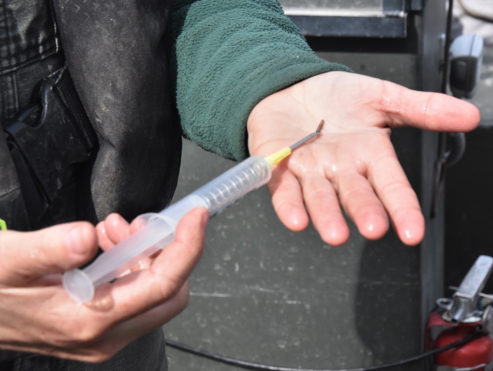 Biologists tagging fish on the Mississippi River