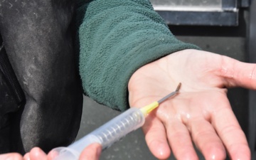 Biologists tagging fish on the Mississippi River