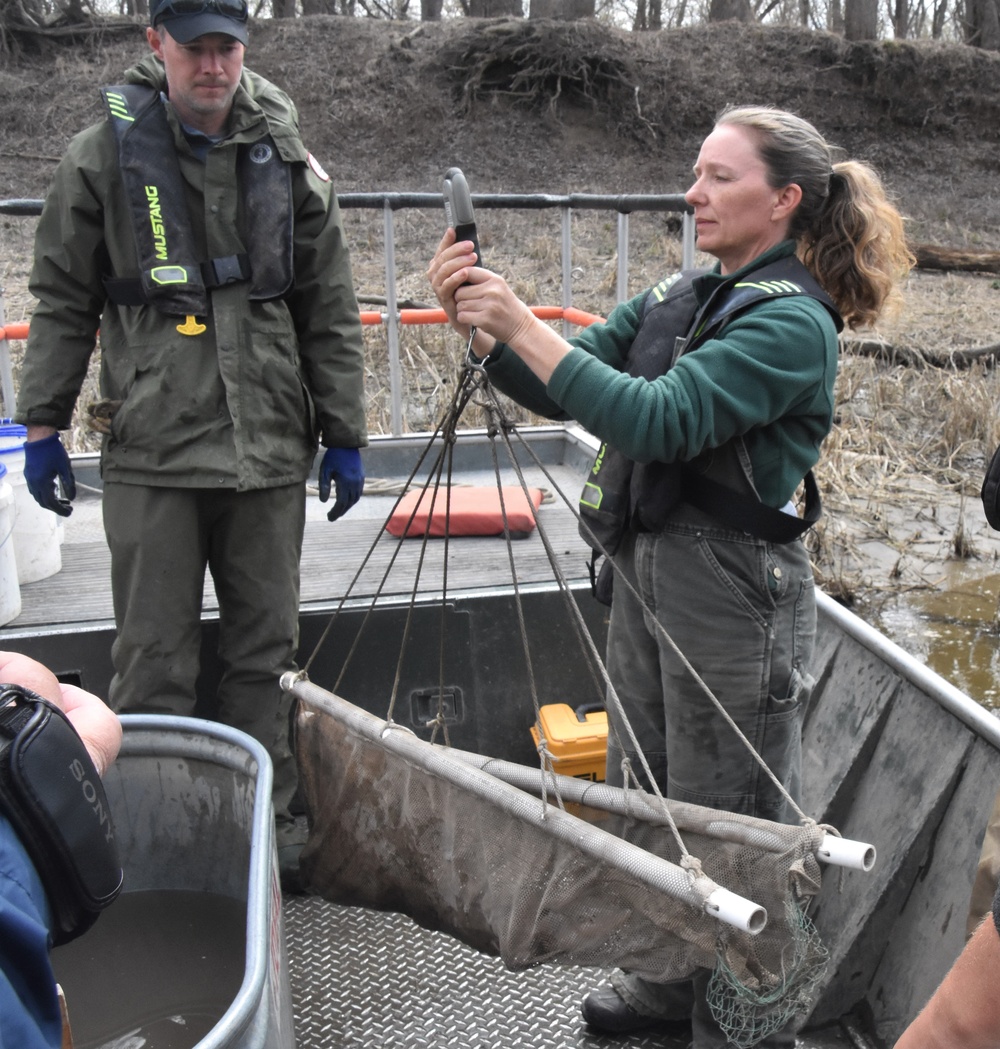 Fish sampling on the Mississippi River