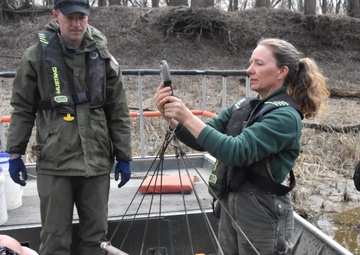Fish sampling on the Mississippi River