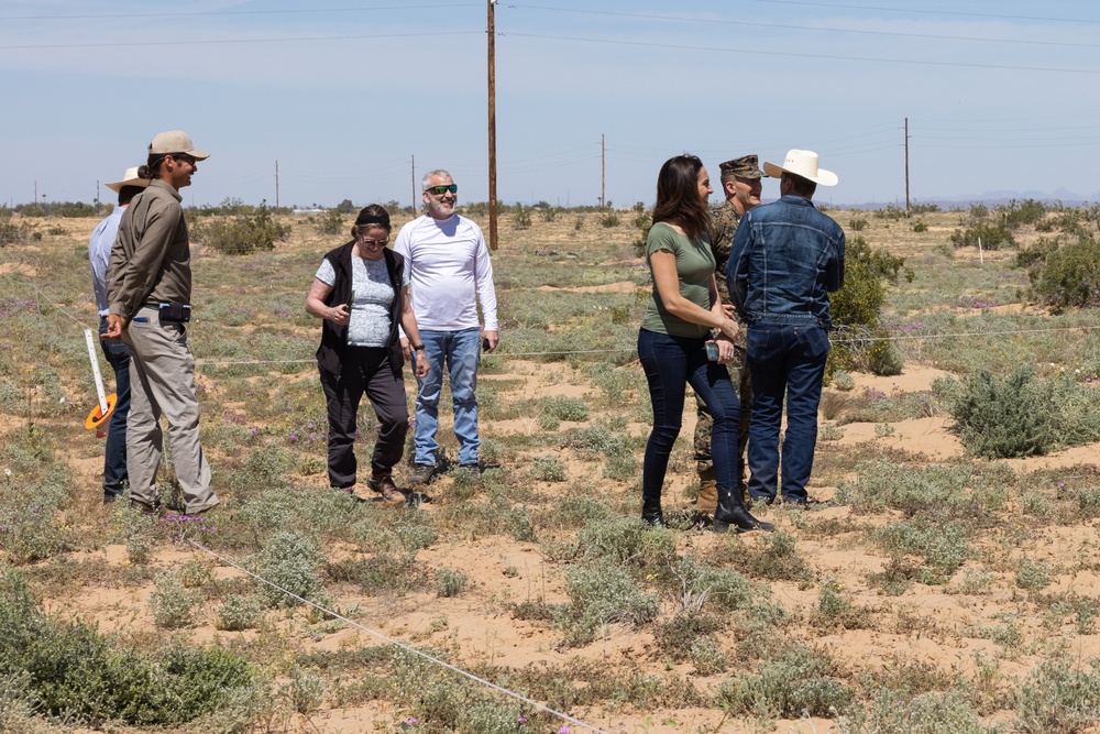 MCAS Yuma Launches Innovative Regenerative Grazing Pilot Project