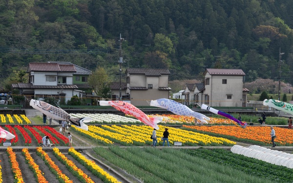 Sharing tradition, culture through Hamura Tulip Festival
