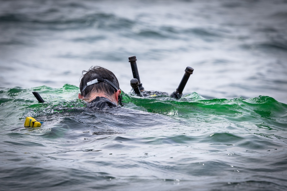 Expeditionary Mine Countermeasures (exMCM) Training
