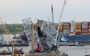 Large flock of cranes nibbles at Key Bridge wreckage