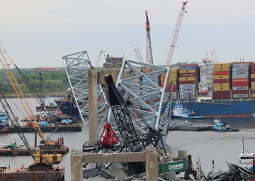 Large flock of cranes nibbles at Key Bridge wreckage