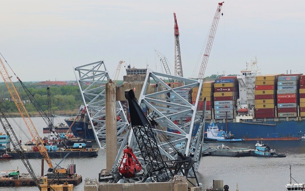 Large flock of cranes nibble at Key Bridge wreckage