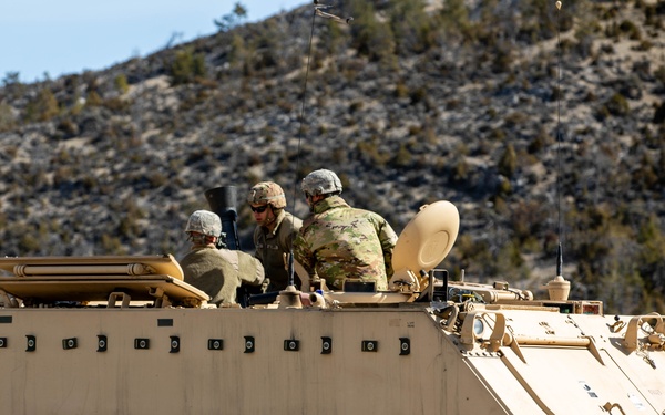 Montana and Idaho Soldiers combine efforts during mortar live fire