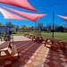 Belton winery promises to ‘Bee’ new favorite