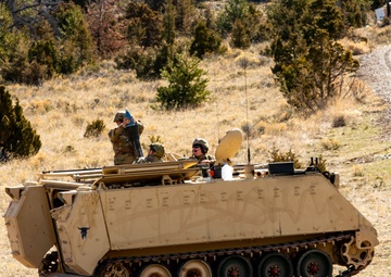 Montana and Idaho Soldiers combine efforts during mortar live fire