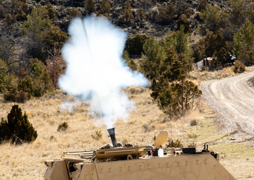 Montana and Idaho Soldiers combine efforts during mortar live fire