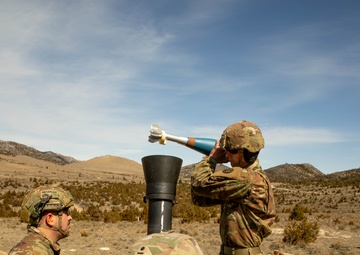 Montana and Idaho Soldiers combine efforts during mortar live fire