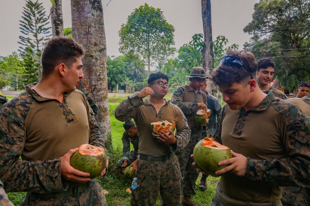 MAREX 24: U.S. Marines, Armed Forces of the Philippines train in jungle operations, survival training