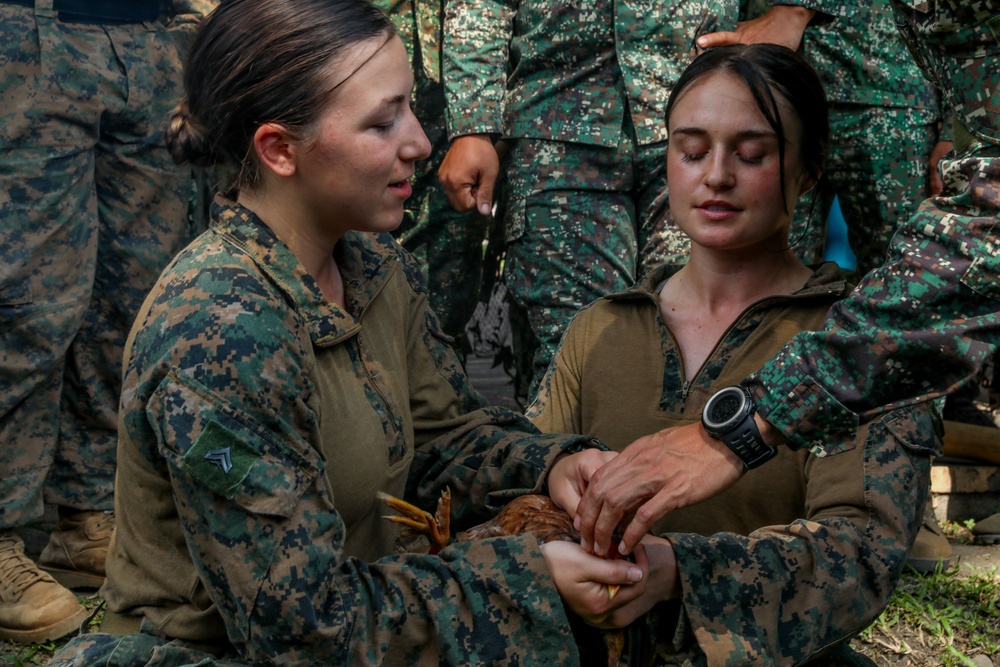 MAREX 24: U.S. Marines, Armed Forces of the Philippines train in jungle operations, survival training
