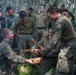 MAREX 24: U.S. Marines, Armed Forces of the Philippines train in jungle operations, survival training