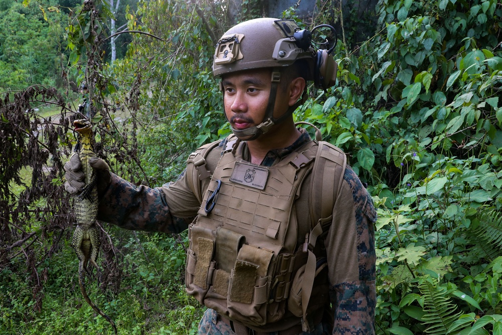 MAREX 24: U.S. Marines, Armed Forces of the Philippines train in jungle operations, survival training