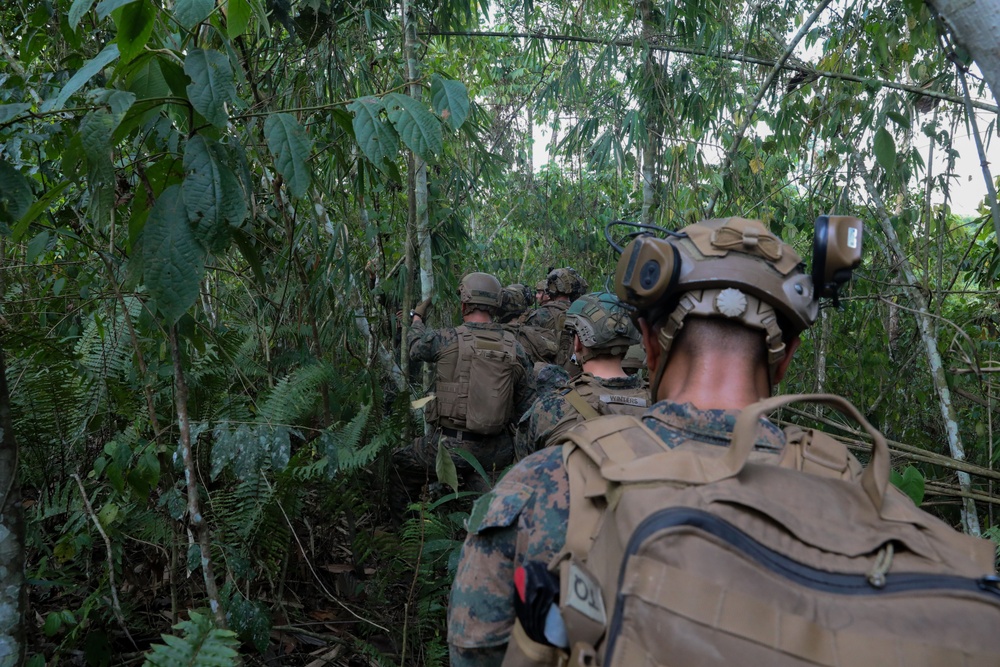 MAREX 24: U.S. Marines, Armed Forces of the Philippines train in jungle operations, survival training