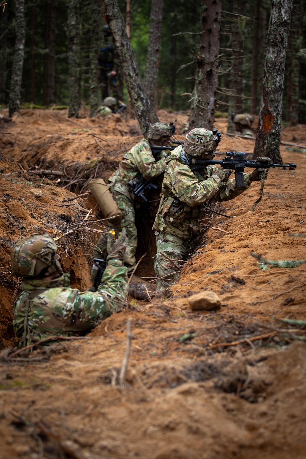 1st Bn., 187th IN participates in force on force exercise with NATO allies