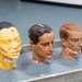 Dermatology Models