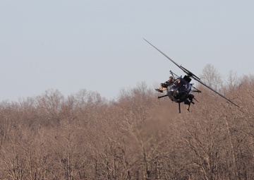 Legion Green Berets Train with Night Stalkers