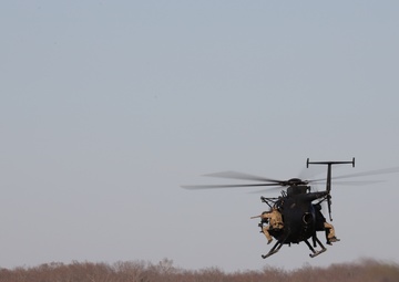 Legion Green Berets Train with Night Stalkers