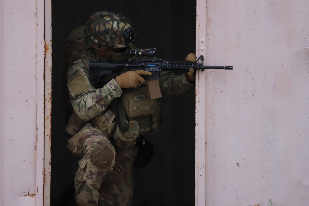 Legion Green Berets Train with 101st Airborne Division (AASLT)