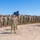 Command of Southern Oregon's 'Guardian' Battalion Passes to New Leader