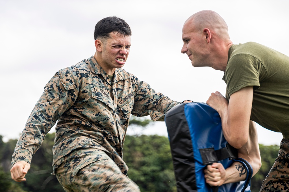 Marines endure OC spray training during MAI course