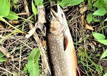 2024 Fort McCoy fishing season begins May 4