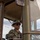 MRF-D 24.3 Marines stage equipment, tactical vehicles