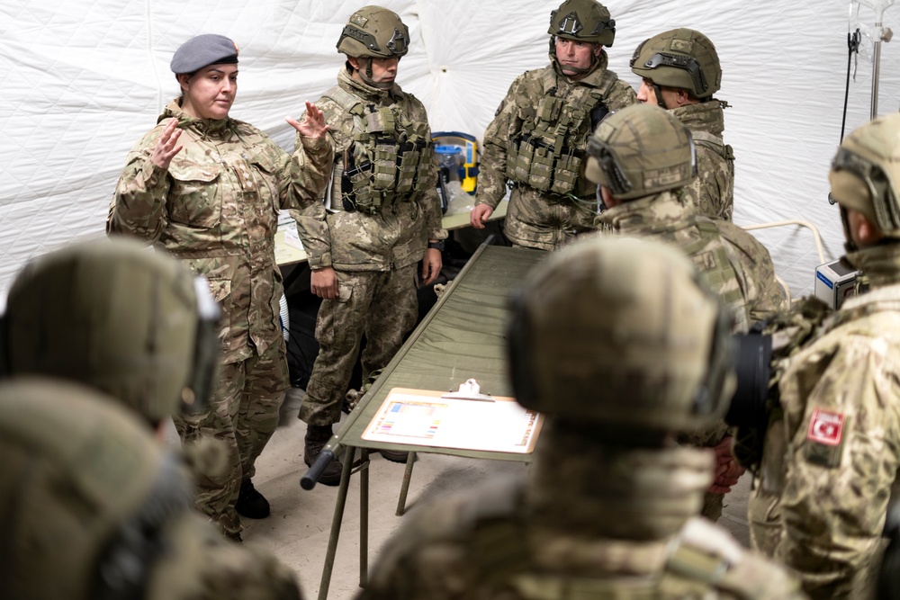 NATO Allies demonstrate combat power during STDE24