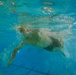U.S. Marines compete in a swimming event during the 2024 fittest instructor event