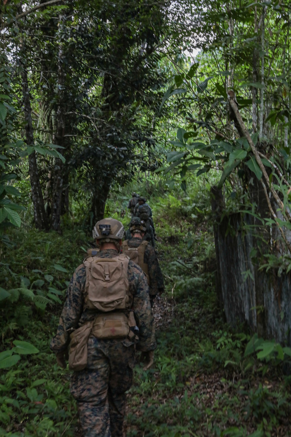 MAREX 24: U.S. Marines, Philippine marines conduct jungle patrol
