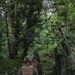 MAREX 24: U.S. Marines, Philippine marines conduct jungle patrol
