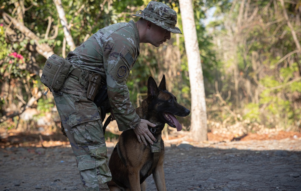 United Forces Military Working Dog Operations