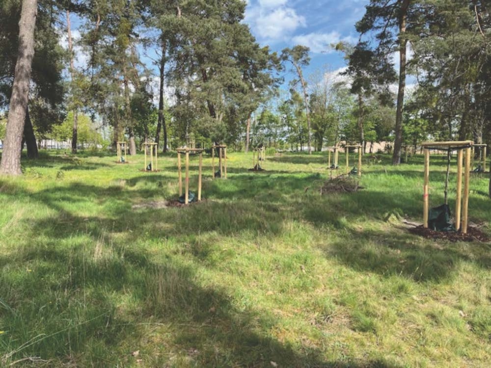 Sustaining Germersheim's Greenery: USAG-Rheinland-Pfalz commits to saving the planet, one tree at a time