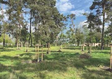 Sustaining Germersheim's Greenery: USAG-Rheinland-Pfalz commits to saving the planet, one tree at a time